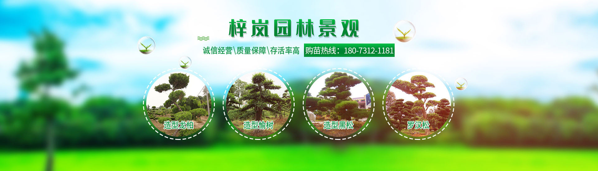 湖南梓嵐園林景觀(guān)有限責(zé)任公司_湖南苗木銷(xiāo)售|造型苗木|喬灌木類(lèi)|精品小苗