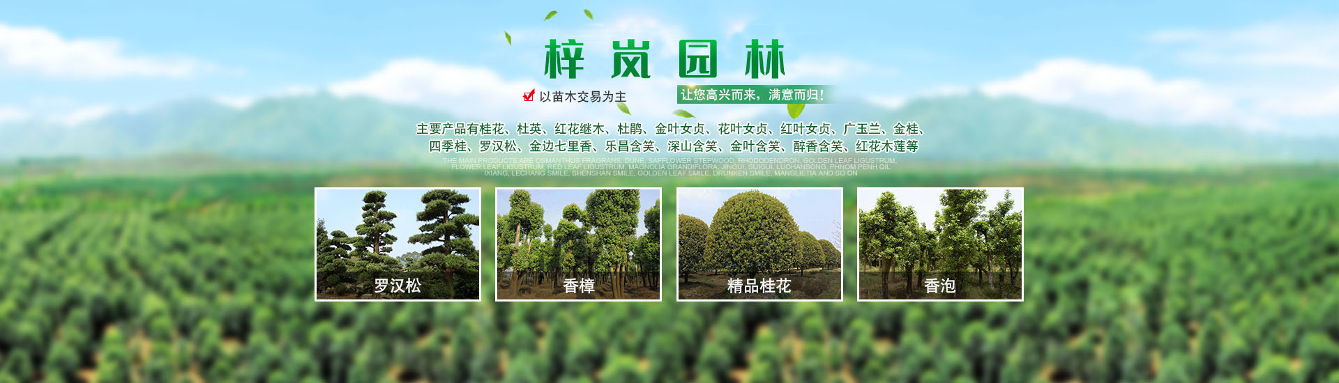 湖南梓嵐園林景觀(guān)有限責(zé)任公司_湖南苗木銷(xiāo)售|造型苗木|喬灌木類(lèi)|精品小苗